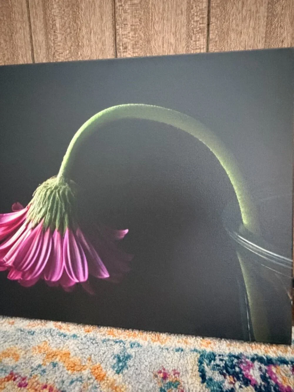 Set of 3 Original Floral Photography Canvas Wall Art 17x20
